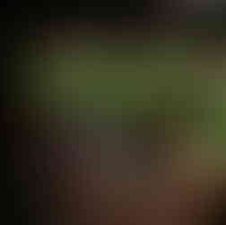 casamento com cerimônia ao ar livre em Porto Alegre realizado na Casa da Figueira, com decoração em tons de azul royal, estilo boho-chic, com toques botânicos, por Life Eventos Especiais - Fernanda Dutra e Ittalo Reis cerimonialistas em Porto Alegre