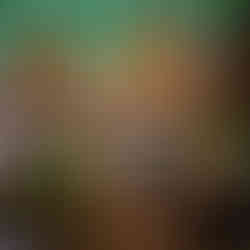 casamento realizado na casa da figueira em porto alegre com cerimônia ao ar livre e decoração estilo boho rústico chic com flores e paisagismo botânico com suculentas em tons de marsala verde e rosa por life eventos especiais assessoria e cerimonial para casamentos em porto alegrecasamento realizado na casa da figueira em porto alegre com cerimônia ao ar livre e decoração estilo boho rústico chic com flores e paisagismo botânico com suculentas em tons de marsala verde e rosa por life eventos especiais assessoria e cerimonial para casamentos em porto alegre