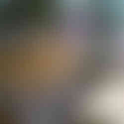 casamento realizado na casa da figueira em porto alegre com cerimônia ao ar livre e decoração estilo boho rústico chic com flores e paisagismo botânico com suculentas em tons de marsala verde e rosa por life eventos especiais assessoria e cerimonial para casamentos em porto alegre