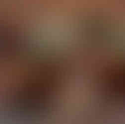 casamento realizado na casa da figueira em porto alegre com cerimônia ao ar livre e decoração estilo boho rústico chic com flores e paisagismo botânico com suculentas em tons de marsala verde e rosa por life eventos especiais assessoria e cerimonial para casamentos em porto alegre