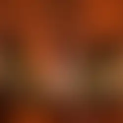 Casamento civil em Porto Alegre: Martina & Rafael, que vivem no Canadá, celebraram no Salão Imperatriz com decoração greenery, cachorrinha especial e momentos inesquecíveis.