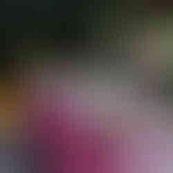 casamento realizado na casa da figueira em porto alegre com cerimônia ao ar livre e decoração estilo boho rústico chic com flores e paisagismo botânico com suculentas em tons de marsala verde e rosa por life eventos especiais assessoria e cerimonial para casamentos em porto alegre