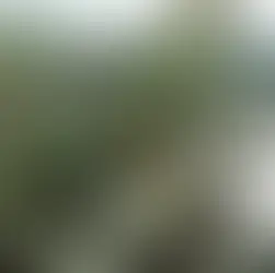 Um mini-wedding planejado em menos de 1 mês pela Life Eventos. Confira o casamento de Elicléa e Rodrigo com cerimônia na Capela Bom Conselho e recepção com vista no Blue Tree Millenium.