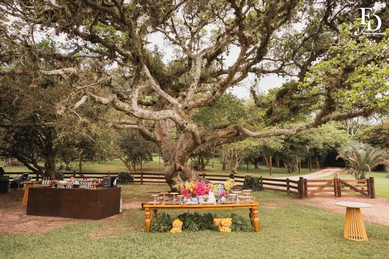 casamento diurno almoço de domingo em família no alto da capela área externa mesa de doces