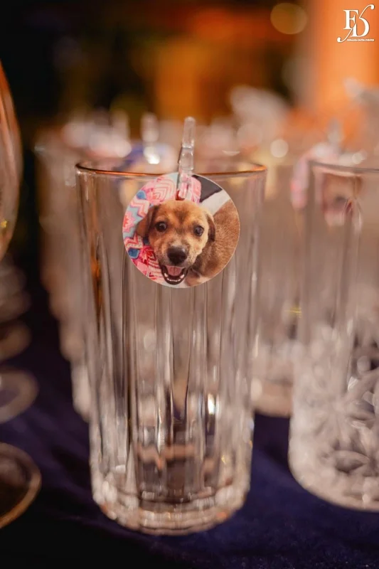 festa de formatura porto alegre publicidade e propaganda ipanema sports bubbles azul e prata por life eventos especiais