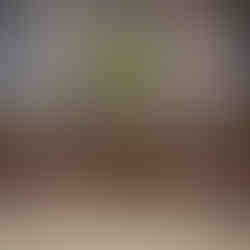 casamento com cerimônia na catedral basílica são luiz gonzaga em novo hamburgo e recepção no espaço tao com decoração clássica simples com muitas luzinhas por life eventos especiais cerimonialista de casamento em porto alegre