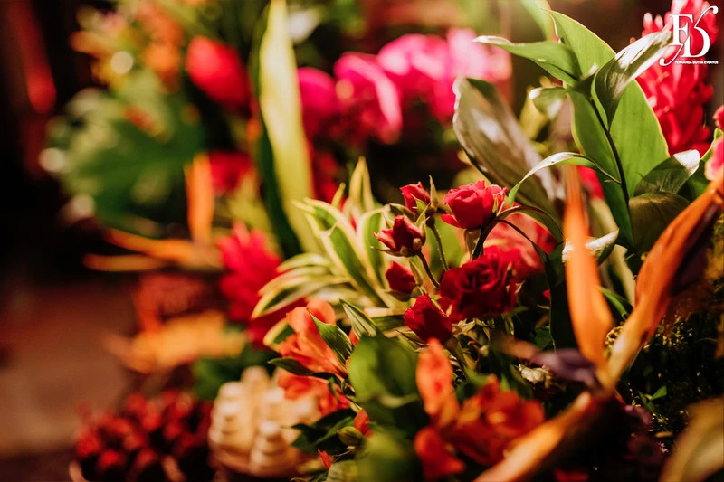 casamento judaico realizado no sítio da figueira em porto alegre com decoração exuberante botânica tropical festa linda com passarela de espelho cerimônia de casamento ao ar livre por life eventos especiais cerimonialista em porto alegre organização de casamentos