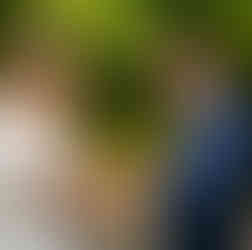 casamento em casa porto alegre mini-wedding micro-wedding home wedding em porto alegre realizado na residência do casal para cerca de 25 convidados com decoração clássica e elegante em rosê gold ouro rosê por life eventos especiais cerimonialista em porto alegre