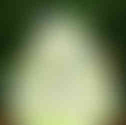 festa infantil com tema do toy story da disney realizado no mig kids em são leopoldo por life eventos especiais cerimonialista em são leopoldo