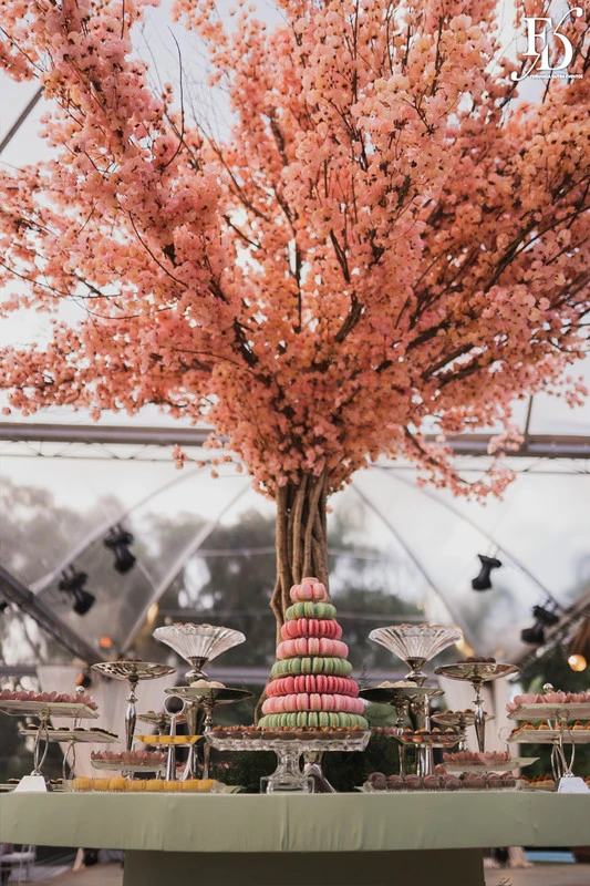 casamento realizado na alameda figueira em cachoeirinha com decoração romântica e delicada em tons de rosa e verde com bouganvilles por life eventos especiais assessoria e cerimonial de casamentos em porto alegre torre macarrons