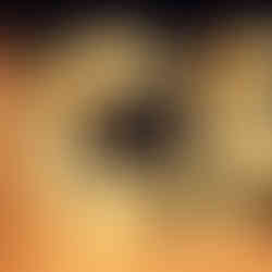 casamento com cerimônia na catedral basílica são luiz gonzaga em novo hamburgo e recepção no espaço tao com decoração clássica simples com muitas luzinhas por life eventos especiais cerimonialista de casamento em porto alegre