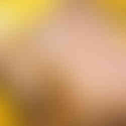 casamento estilo mini-wedding 30 convidados realizado no salão brasília do hotel sheraton porto alegre com decoração clássica em dourado e vermelho por life eventos especiais cerimonialista de casamento em porto alegre