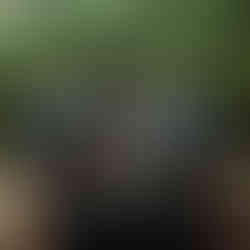 casamento com cerimônia ao ar livre em porto alegre realizado na casa da figueira na zona sul da capital gaúcha com decoração simples delicada estilo rústico com organização e cerimonial de life eventos especiais cerimonialista em porto alegre