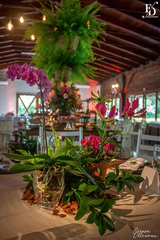 casamento no sítio da figueira mesa de convidados