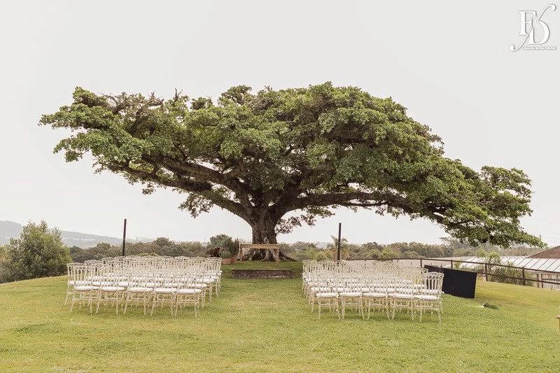 casamento no espaço paraíso em porto alegre alvorada viamão decoração com inspiração italiana limão siciliano temperos frescos e flores coloridas