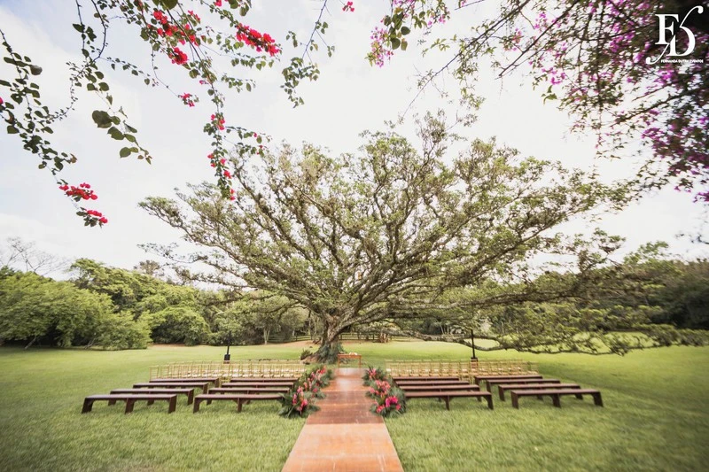 casamento diurno almoço de domingo em família no alto da capela cerimônia ao ar livre