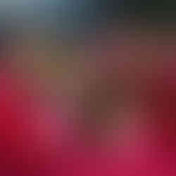 casamento realizado na casa da figueira em porto alegre com cerimônia ao ar livre e decoração estilo boho rústico chic com flores e paisagismo botânico com suculentas em tons de marsala verde e rosa por life eventos especiais assessoria e cerimonial para casamentos em porto alegre