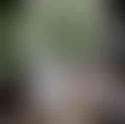 casamento com cerimônia na catedral basílica são luiz gonzaga em novo hamburgo e recepção no espaço tao com decoração clássica simples com muitas luzinhas por life eventos especiais cerimonialista de casamento em porto alegre