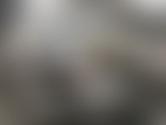 令和7年度 福島県ふぐ処理者試験