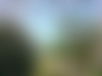 平成29年 桜満開の上野恩賜公園