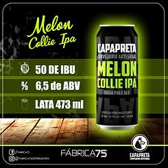 Artepadrão_Melon_ipa.jpeg