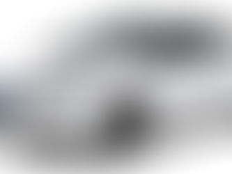 Πώς είναι η ζωή με ένα ηλεκτρικό