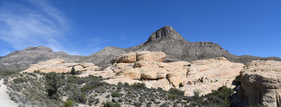 Turtlehead Peak