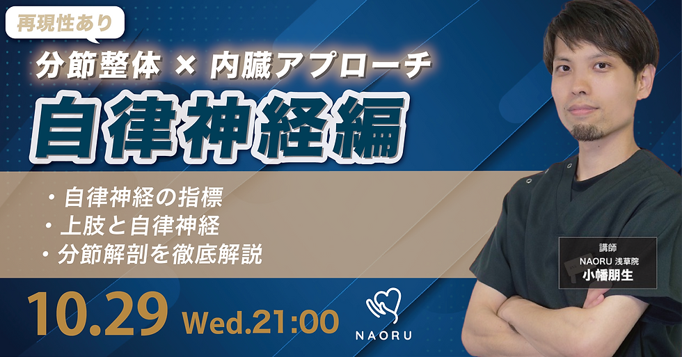 【自律神経】分節×内臓アプローチセミナー