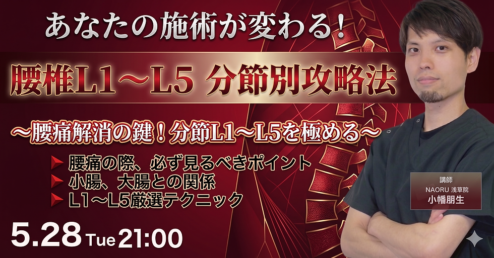 腰椎L1~L5　分節テクニック