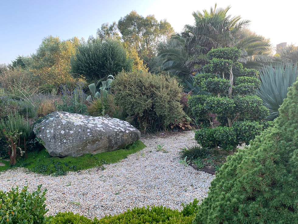 Jardin