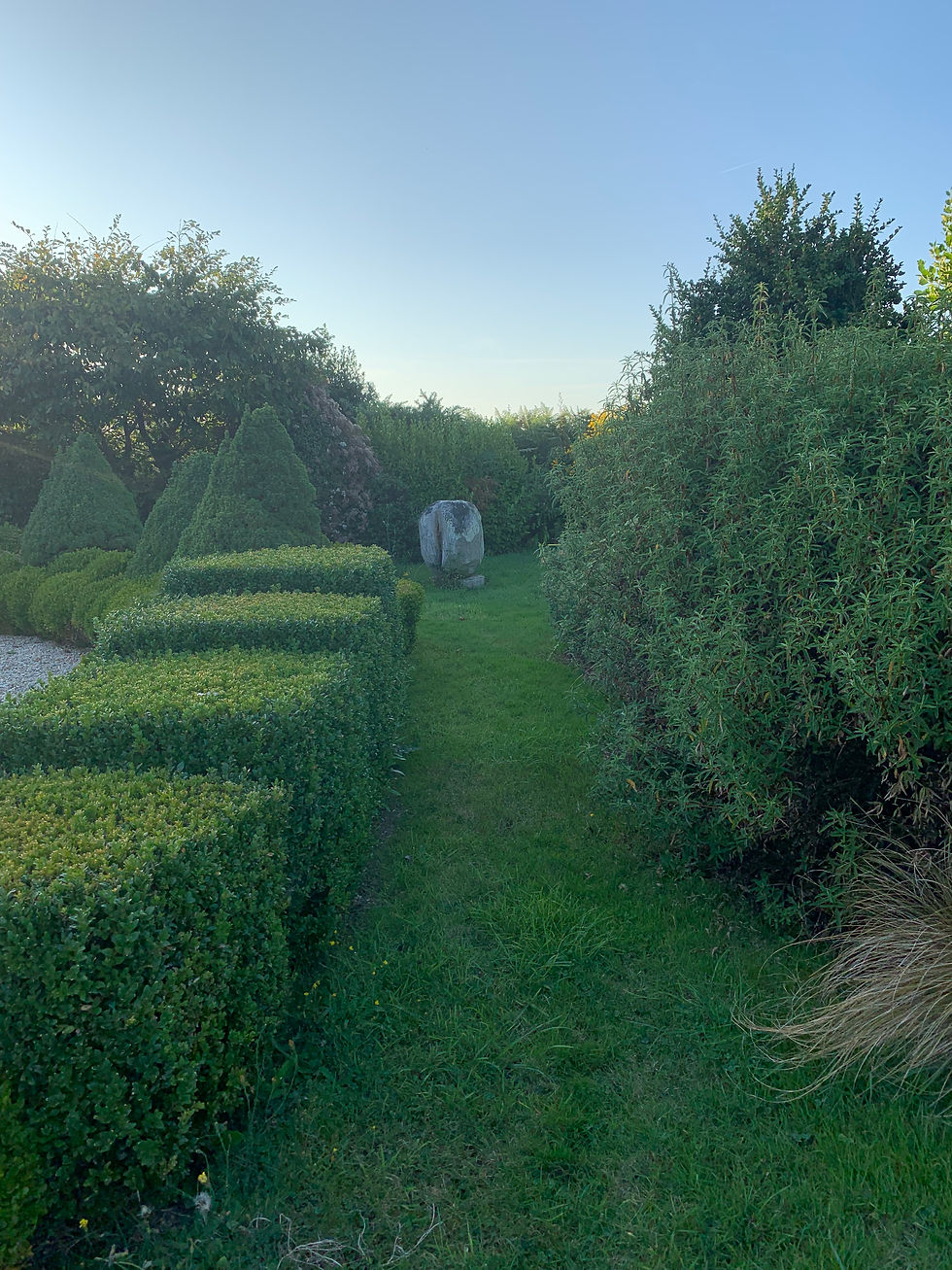 Jardin