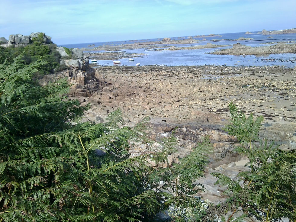 Côte la plus proche