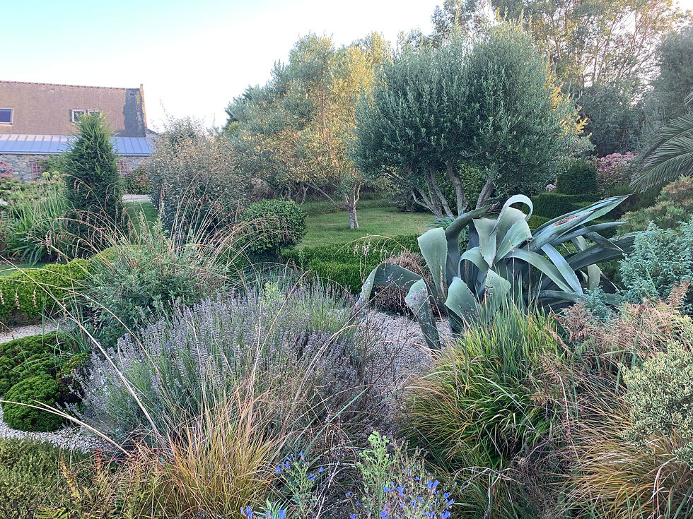 Jardin