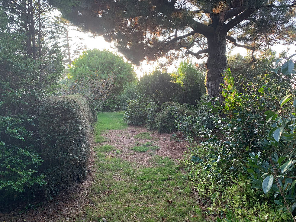 Jardin 2