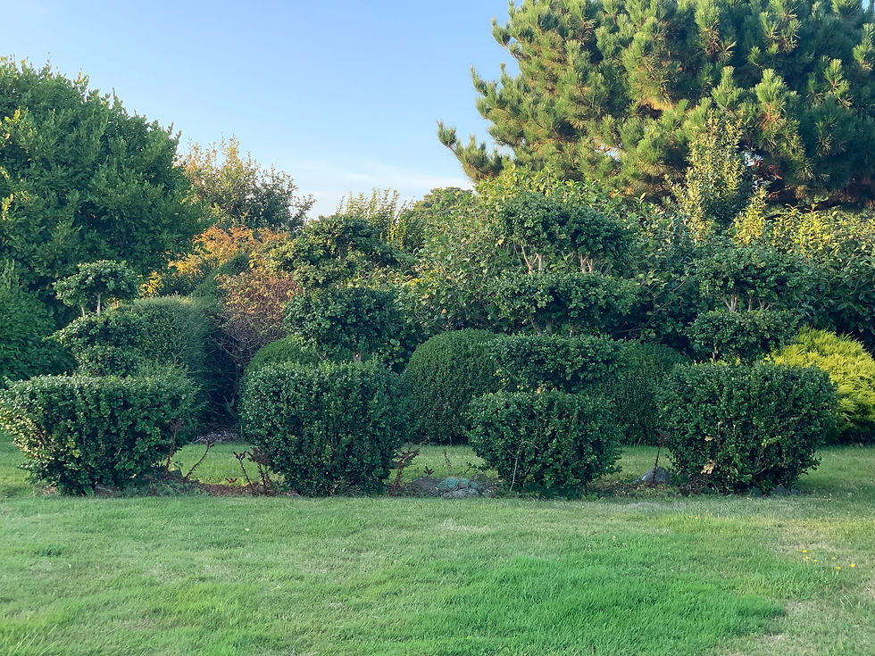 Jardin