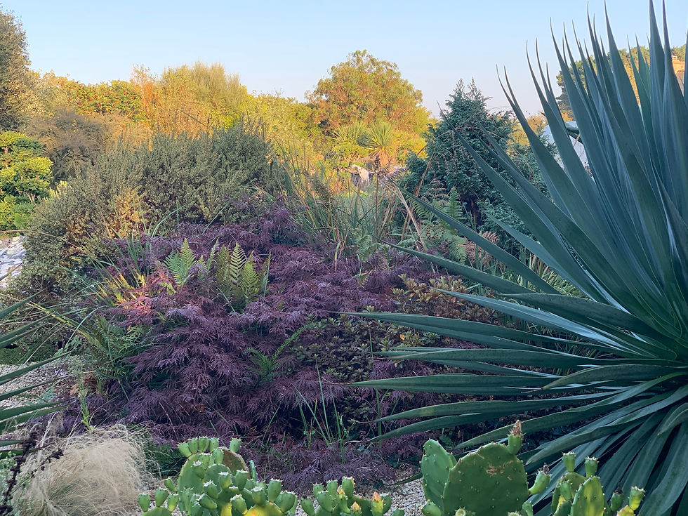 Jardin