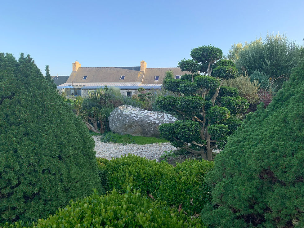 Jardin