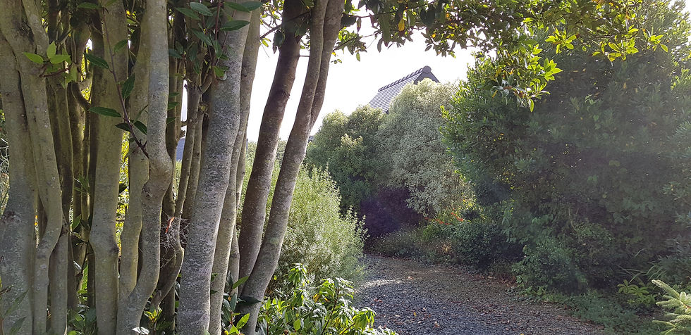 Jardin