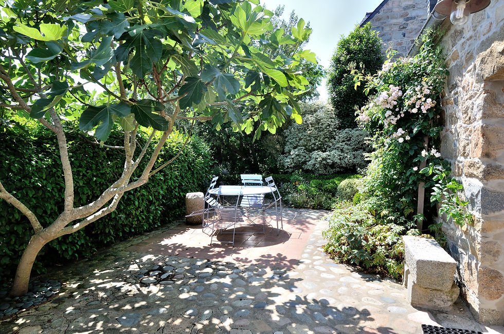 Courette du gîte