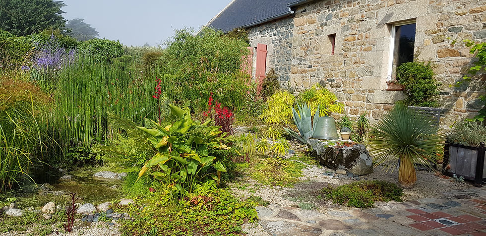 Jardinet côté rue