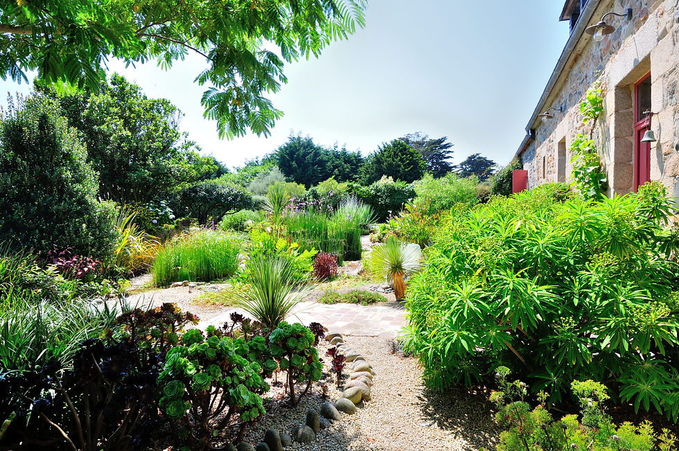 Jardinet côté rue