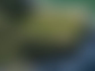 Prefeitura de Penha promove 2ª Oficina de Planejamento participativo sobre o Plano de Manejo do Parque Natural Municipal Ponta da Vigia