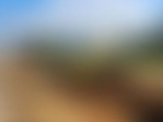 Revitalização da Avenida dos Açores: Melhorias em Andamento