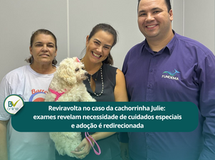 Reviravolta no caso da cachorrinha Julie: exames revelam necessidade de cuidados especiais e adoção é redirecionada