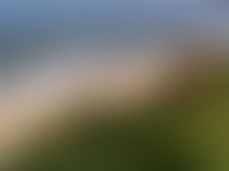 Programa Praia + Segura: Proteção Integrada do Litoral - Conexão Praia & Restinga.