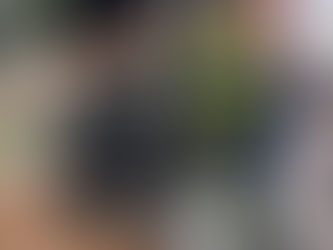 Acidente grave na BR 101 em Piçarras