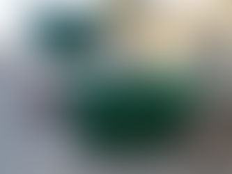 Combate à dengue: Saúde disponibiliza caçambas em todos os bairros para descarte de entulhos