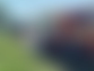 Capotamento com Vazamento de Combustível é Registrado na BR-101 em Araquari