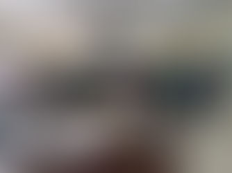 Empreendedores do turismo rural buscam melhorias para o setor em Araquari