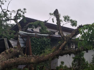 Temporal causa estragos nos bairros Escalvado e Porto do Itaperiú em Barra Velha